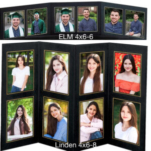 Linden and Elm Photo Displays